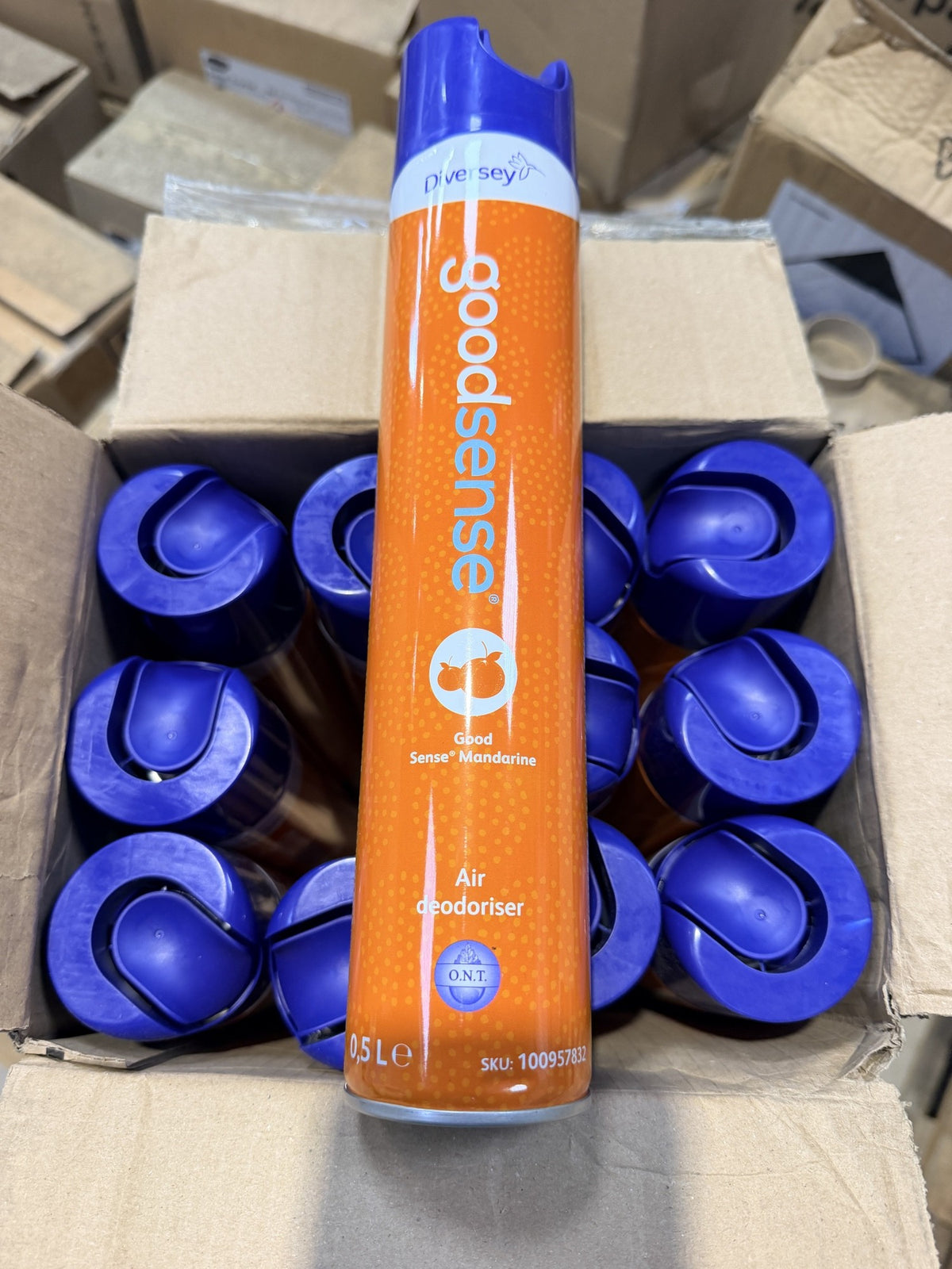 Diversey Good Sense Mandarine – actual stock photo 2